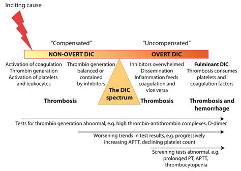 dic dog water drop testing|dic hemostatic abnormalities in dogs.